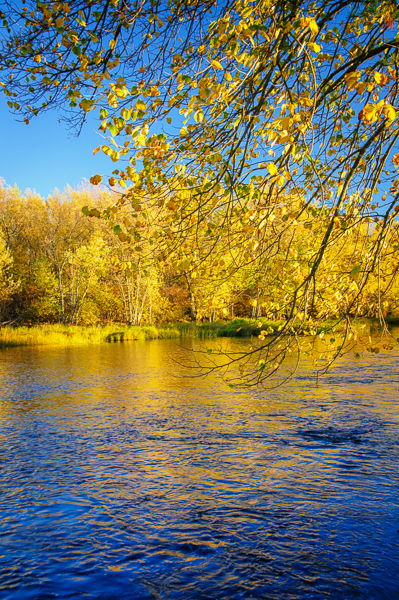 Chippewa River in autumn